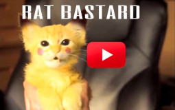 Ria's Cafe users that could kick my ass